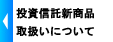 �C���^�[�l�b�g��p�t�@���h