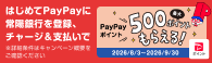 PayPayポイント最大500ポイントもらえる!