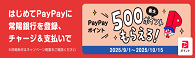 PayPayポイント最大500ポイントもらえる！