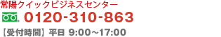 zNCbNrWlXZ^[ t[_CA 0120-310-863 / ytԁzF9F00`17F00