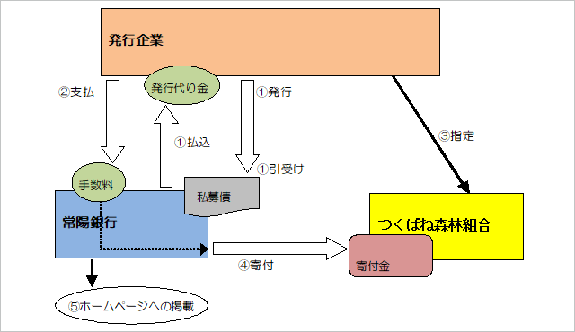 スキーム図