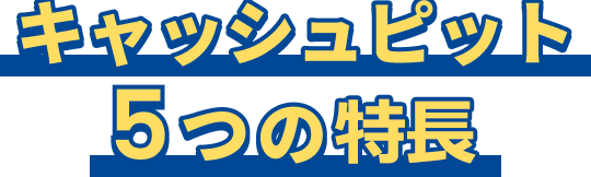 キャッシュピット5つの特長