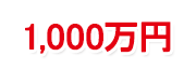 1,000万円