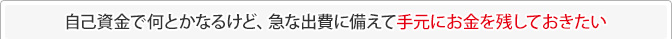 自己資金で何とかなるけど、急な出費に備えて手元にお金を残しておきたい