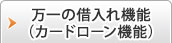 万一の借入れ機能
