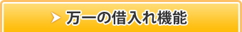 万一の借入れ機能