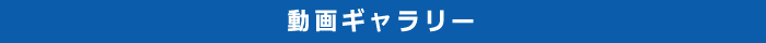 動画ギャラリー