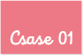 Case 01